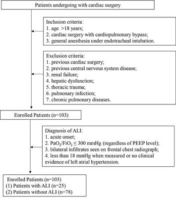 Size Distribution of Microparticles: A New Parameter to Predict Acute Lung Injury After Cardiac Surgery With Cardiopulmonary Bypass